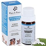 Paws & Patch Bachblüten für Hunde & Katzen Stress Notfall, pflanzliches Beruhigungsmittel vor Tierarztbesuchen, Reisen, nach Unfällen, an Silvester