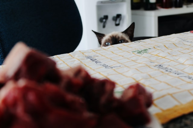 Katze, die Fleisch auf einem Tisch beobachtet